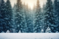 Pine forest background snow backgrounds outdoors. AI generated Image by rawpixel.