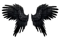 Black feather angel wings bird white background blackbird. AI generated Image by rawpixel.