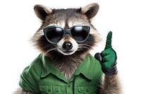 Funny raccoon glasses sunglasses mammal. AI generated Image by rawpixel.