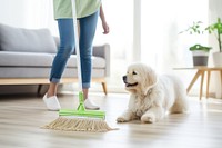 A person moping floor with mop and bucket in living room dog cleaning mammal. 