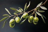 Olive branch plant leaf tree. AI generated Image by rawpixel.