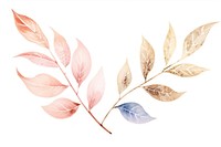 Botanical leaf plant white background accessories. AI generated Image by rawpixel.