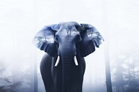 An elephant with forest wildlife outdoors portrait. AI generated Image by rawpixel.