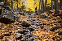 Fall forest outdoors autumn nature. AI generated Image by rawpixel.