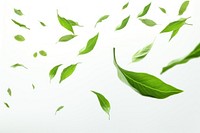 Green tea leaves flying in the air backgrounds plant green. AI generated Image by rawpixel.