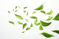 Green tea leaves flying in the air plant green leaf. AI generated Image by rawpixel.