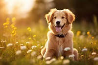 Happy puppy gloden dog mammal animal flower. AI generated Image by rawpixel.