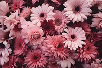 Flowers petal plant daisy. AI generated Image by rawpixel.