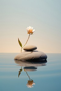 Rocks and plants balance pebble blue. AI generated Image by rawpixel.