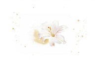 White lilly flower pollen petal. AI generated Image by rawpixel.