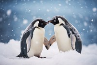 Antarctic penguins animal bird togetherness. AI generated Image by rawpixel.