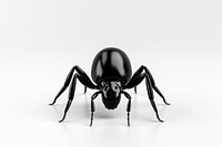 Tick animal insect black. AI generated Image by rawpixel.