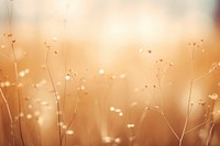 Brown backgrounds outdoors nature. AI generated Image by rawpixel.