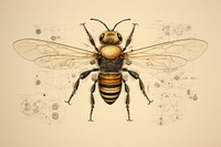 Bee bee drawing insect. AI generated Image by rawpixel.