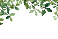 Leaves border backgrounds plant green. AI generated Image by rawpixel.