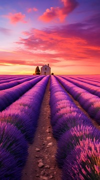 Lavender landscape outdoors horizon. AI generated Image by rawpixel.