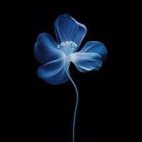 Flower petal plant blue. AI generated Image by rawpixel.