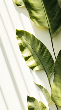 Banana leaves branch plant green. AI generated Image by rawpixel.