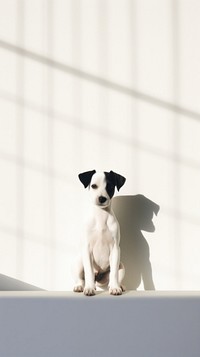 Cute baby dog mammal animal shadow. AI generated Image by rawpixel.