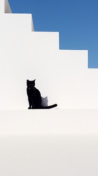 Cat mammal animal shadow. AI generated Image by rawpixel.