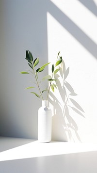 Eucalypthus windowsill shadow plant. AI generated Image by rawpixel.