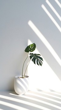 Plant windowsill shadow leaf. AI generated Image by rawpixel.