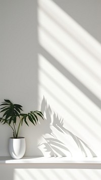Plants shadow window white. AI generated Image by rawpixel.