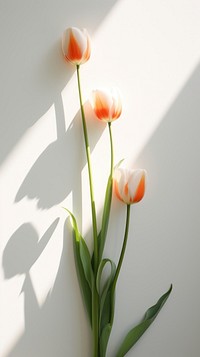 Tulips flower petal plant. AI generated Image by rawpixel.
