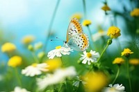 Butterfly nature flower outdoors. AI generated Image by rawpixel.