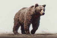Bear bear wildlife drawing. AI generated Image by rawpixel.