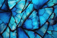 Butterfly backgrounds pattern blue. AI generated Image by rawpixel.