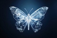 Butterfly butterfly outdoors animal. AI generated Image by rawpixel.