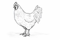 Chicken chicken drawing poultry. AI generated Image by rawpixel.