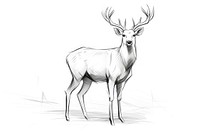 Deer drawing wildlife animal. AI generated Image by rawpixel.