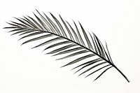 Palm leaves drawing plant leaf. AI generated Image by rawpixel.