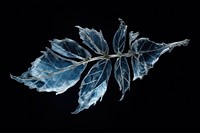 Leaf frost leaf ice. AI generated Image by rawpixel.