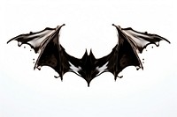 Bat bat animal wing. AI generated Image by rawpixel.