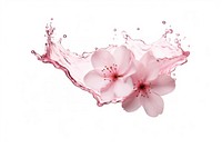 Sakura blossom flower petal. AI generated Image by rawpixel.