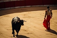 Bull bullfighting bullfighter livestock. AI generated Image by rawpixel.
