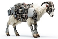 Cyborg goat livestock animal mammal. AI generated Image by rawpixel.