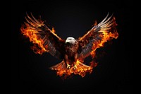 Eagle full body fire vulture burning. AI generated Image by rawpixel.