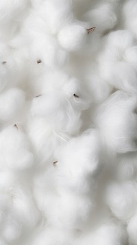 Soft cotton texture backgrounds nature softness. AI generated Image by rawpixel.
