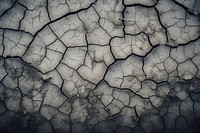 Cracks backgrounds soil mud. AI generated Image by rawpixel.