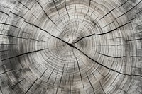 Background wood tree backgrounds. AI generated Image by rawpixel.