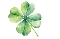 Four-leaf lucky clover white background freshness vegetable. AI generated Image by rawpixel.