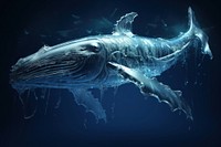 Whale whale animal mammal. AI generated Image by rawpixel.
