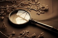 Magnifying glass reflection monochrome fragility. AI generated Image by rawpixel.