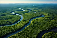Amazing forrest and long river outdoors nature forest. AI generated Image by rawpixel.