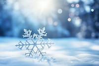 Christmas tree snow snowflake outdoors. 