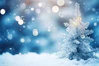 Christmas tree snow backgrounds outdoors. AI generated Image by rawpixel.